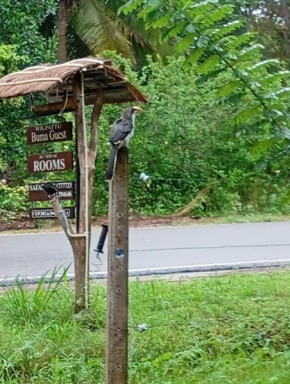 Wilpattu Buma Lodge